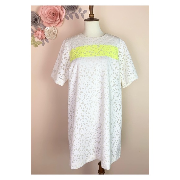 New! ELIZABETH & JAMES Chelle Flocked Shift Dress - Picture 4 of 12